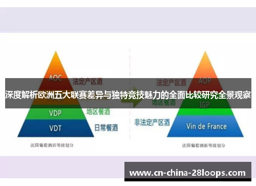 深度解析欧洲五大联赛差异与独特竞技魅力的全面比较研究全景观察