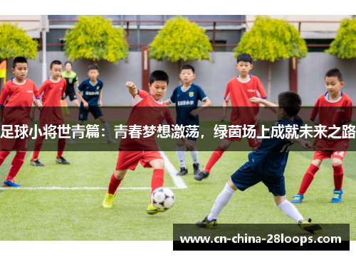 足球小将世青篇：青春梦想激荡，绿茵场上成就未来之路