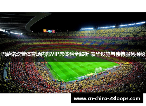 巴萨诺坎普体育场内部VIP席体验全解析 豪华设施与独特服务揭秘